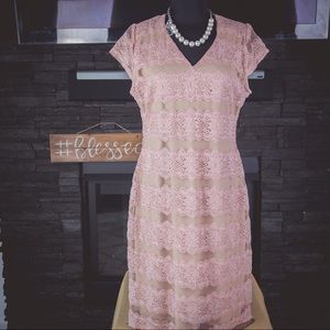 NWT Blush Lace Dress